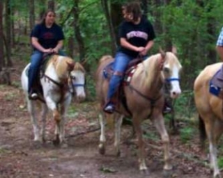  Camicrema ecuestre Vézelay 